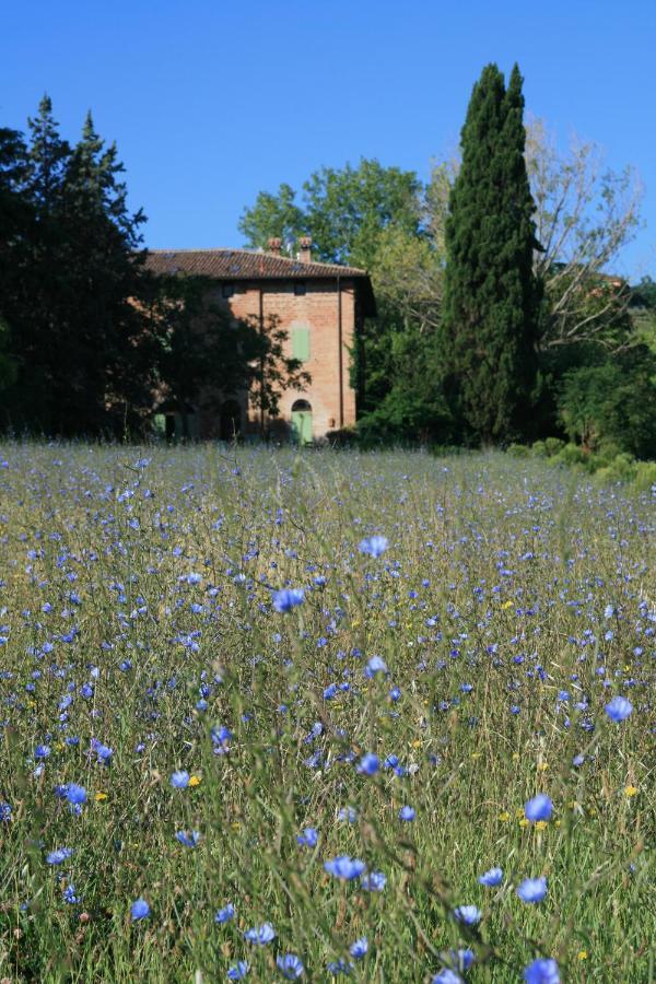 Galluzzo Ancient Country Villa Casalecchio Di Reno Exterior foto